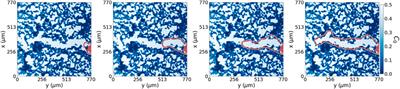 Modelling of chemotactic sprouting endothelial cells through an extracellular matrix